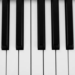 We Deserve This : Black and White Keys